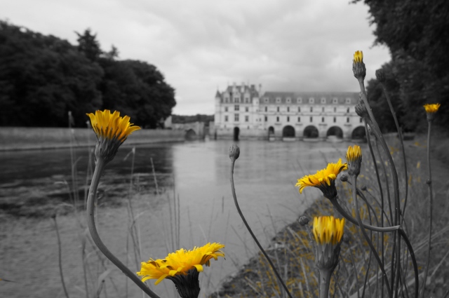 Chenonceau