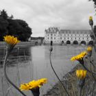 Chenonceau