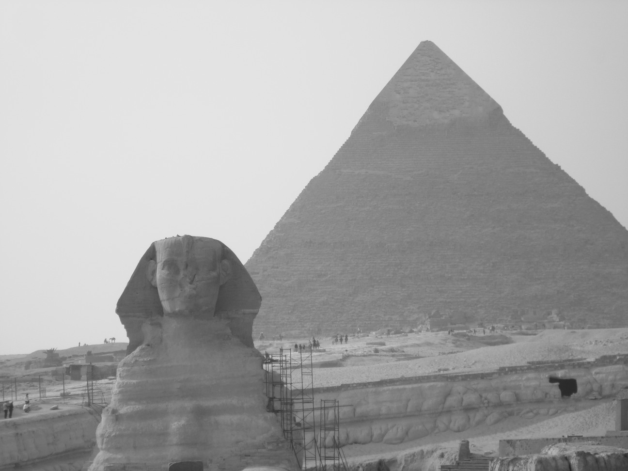 Cheops Pyramid and Sphinx