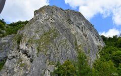 Chercher les 3 intrus