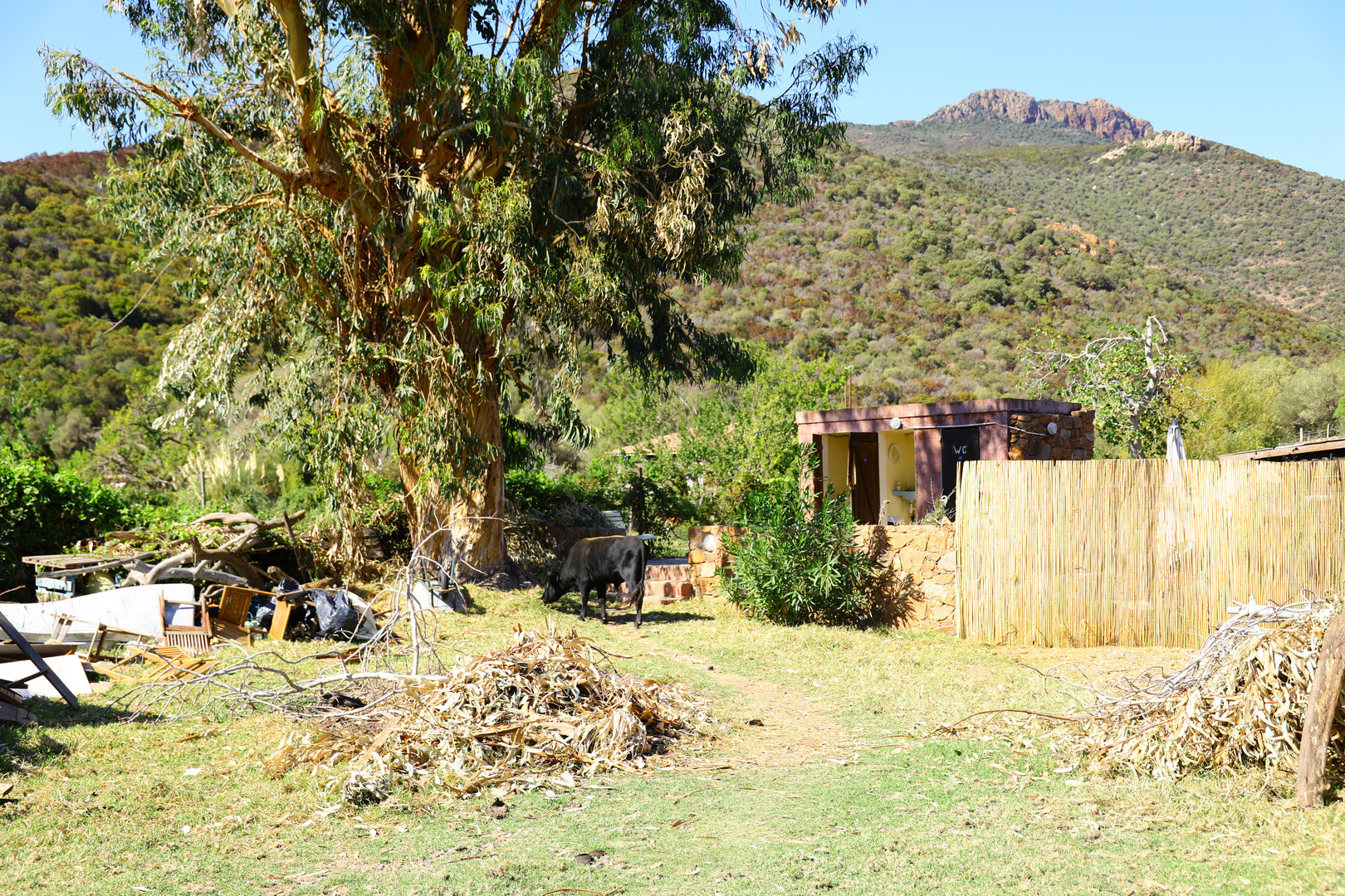 Chercher les toilettes