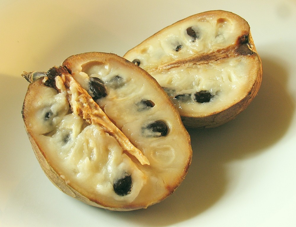 Cherimoya