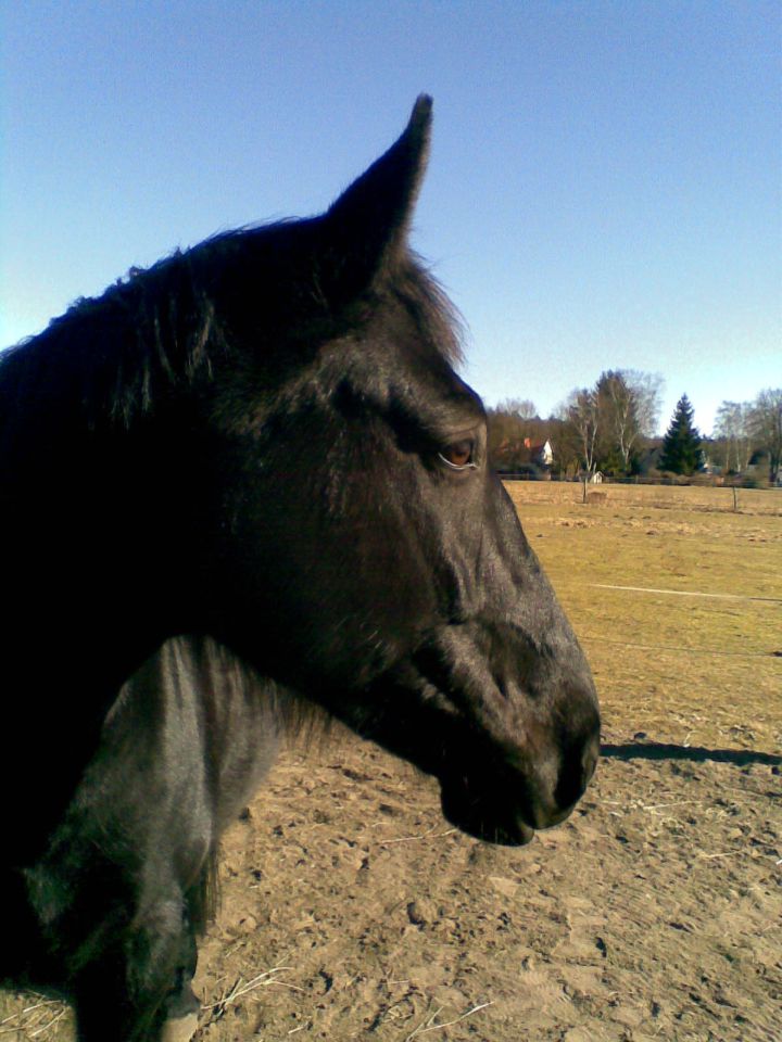 Cherokee... ein letzter Blick...