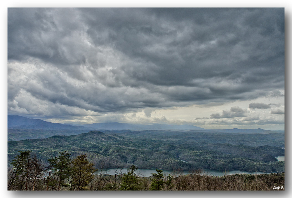 Cherokee National Forest