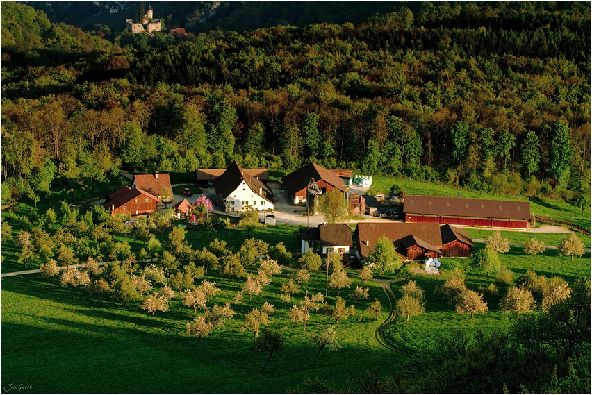 Cherry Farm