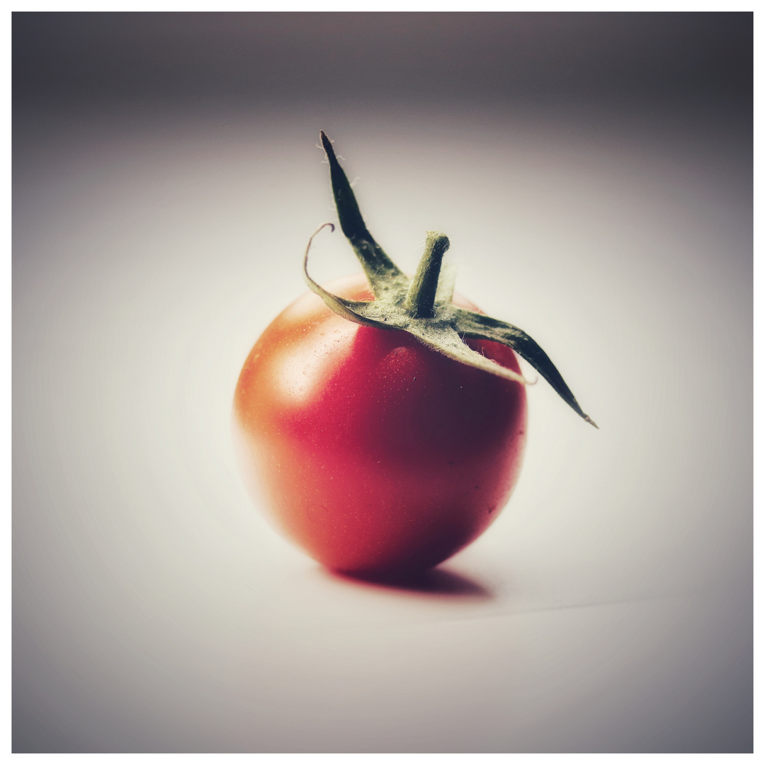 Cherry Tomate