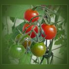 Cherry-Tomaten ...