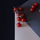 cherry tomatoes climbing in a rope