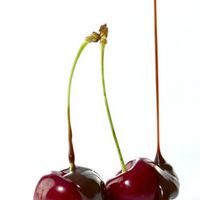 CherryBerry