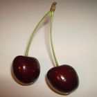 cherry´s