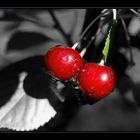 Cherrys