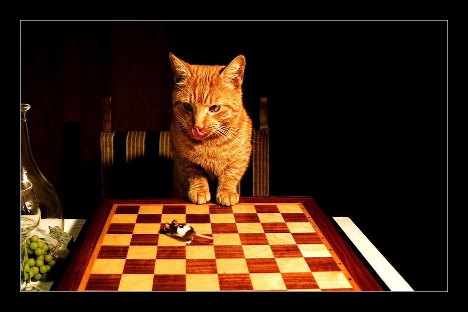 Chess...