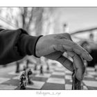 Chess 18