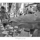 Chess 3