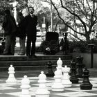 Chess in Sydney