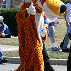 Chester Cheetah