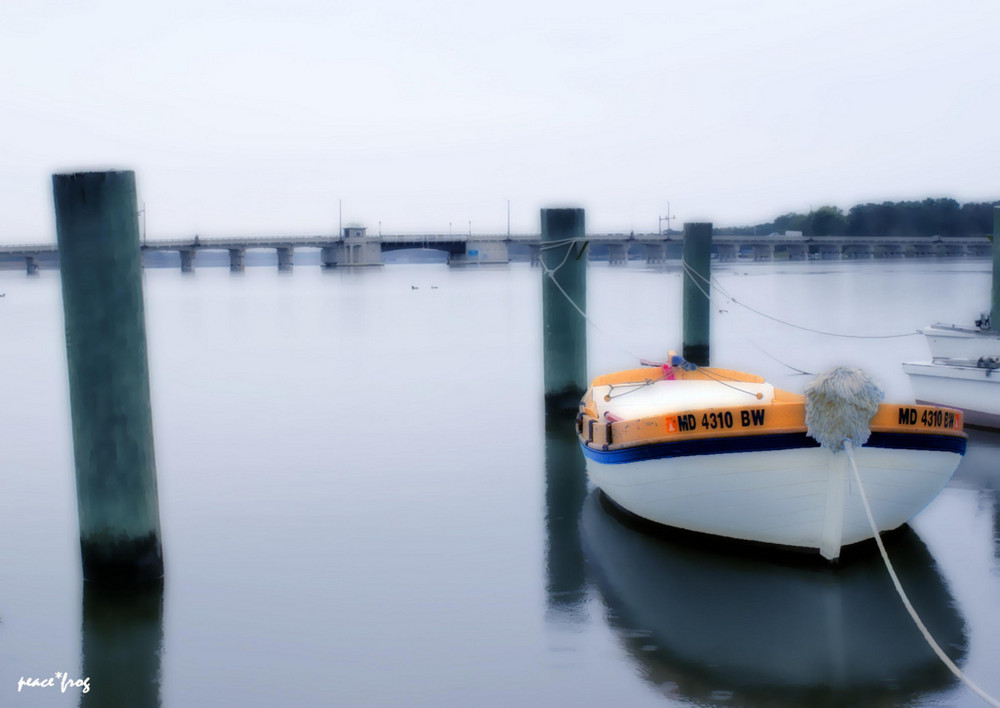 chester river blue