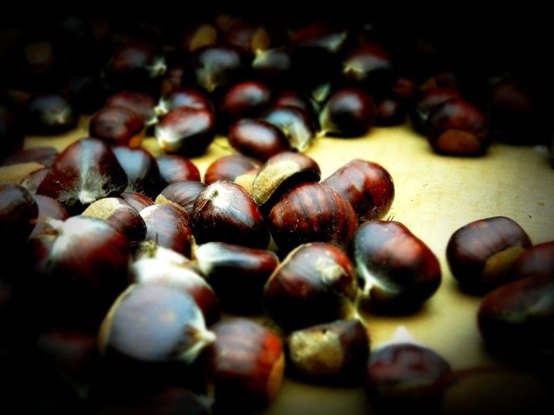 chestnuts