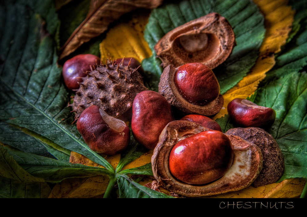 Chestnuts