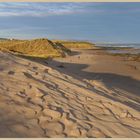 Cheswick sands 13