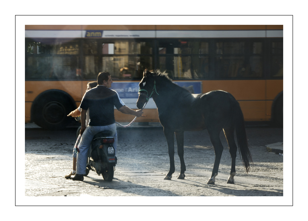 Cheval avec 2 hommes