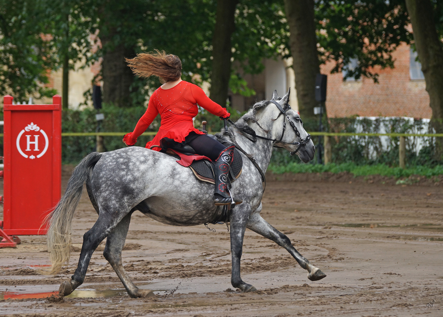 cheval... cheveux au vent