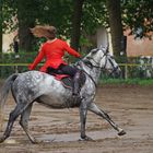 cheval... cheveux au vent