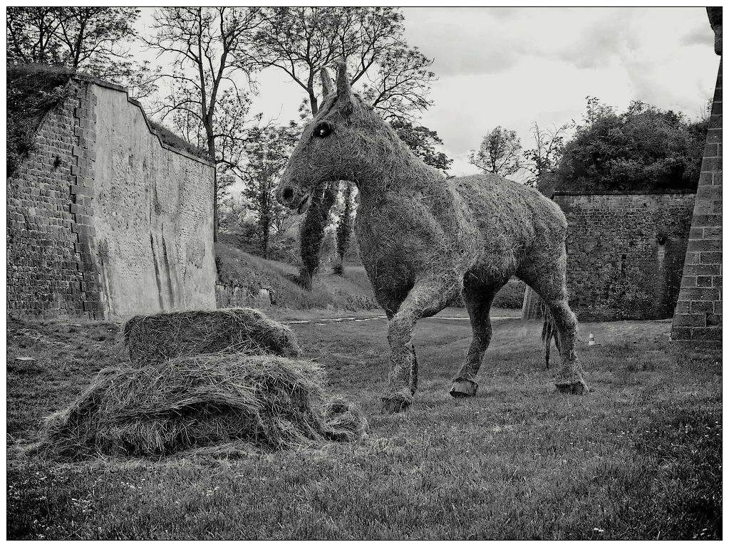 Cheval de foin