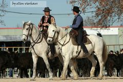 Cheval Passion in Avignon....