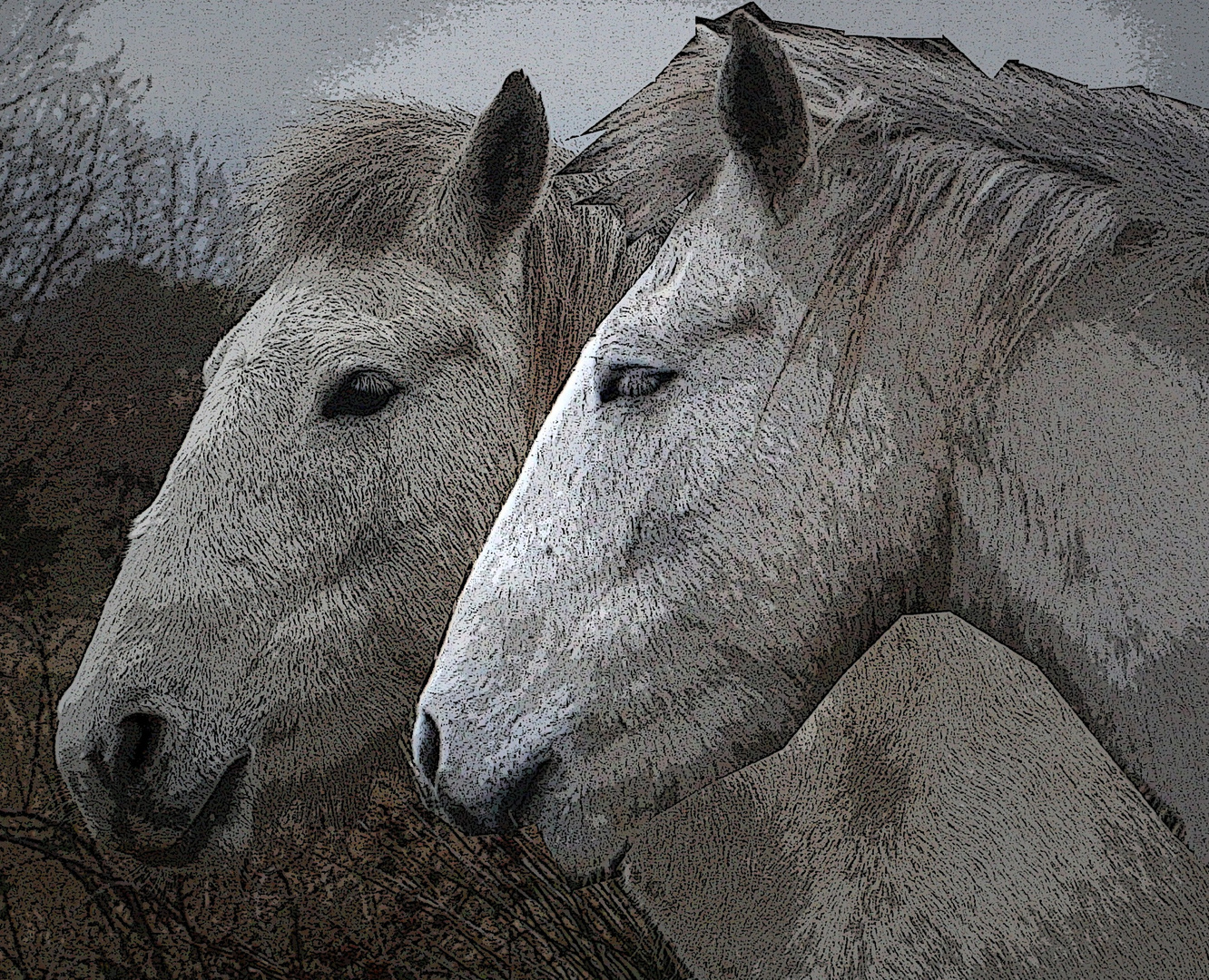 CHEVAUX CAMARGUAIS OPUS 2 ORIGINAL