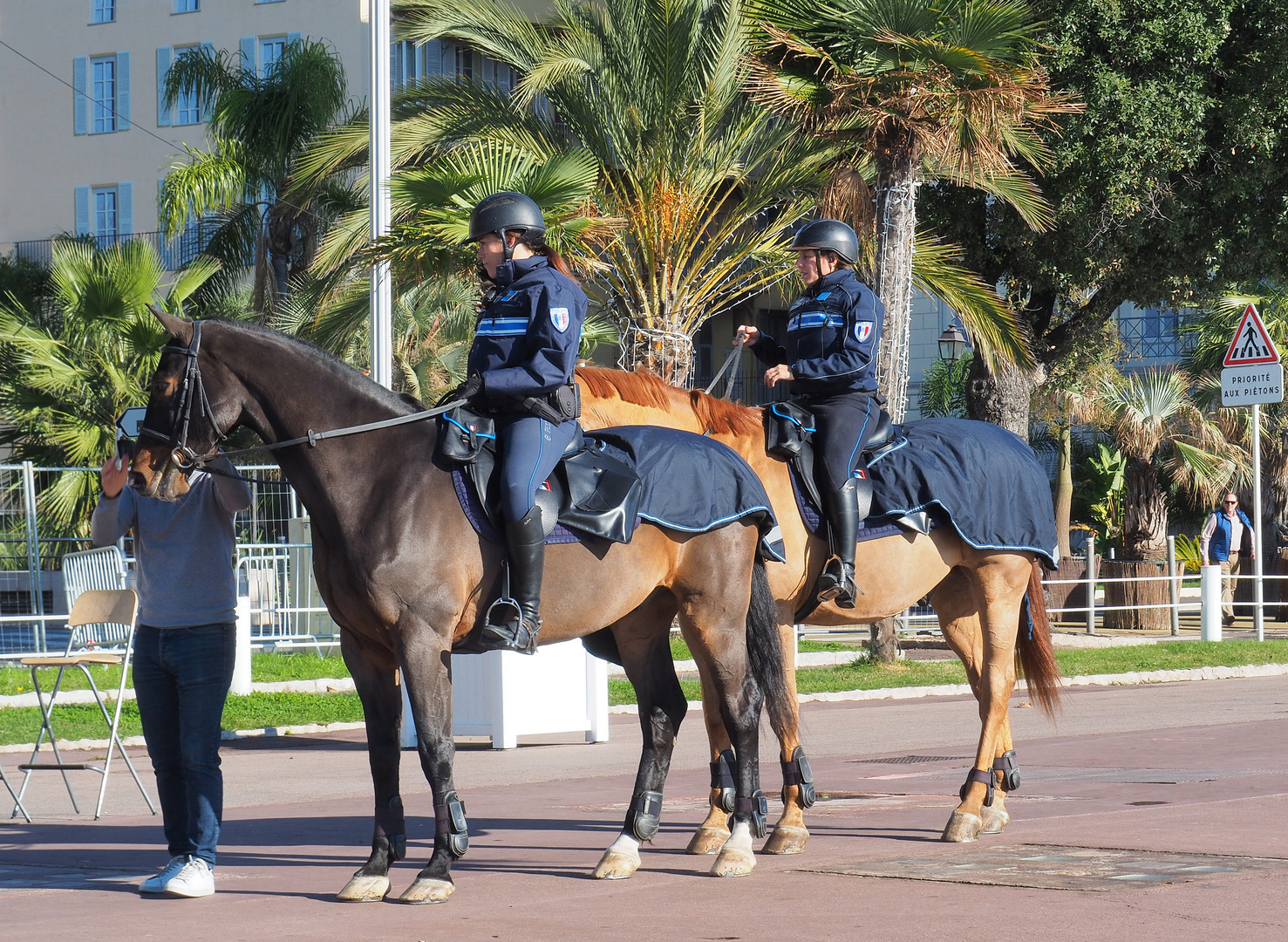 Chevaux de la Police Montée  -  Nice