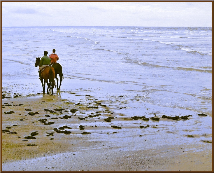 Chevaux des sables