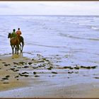 Chevaux des sables