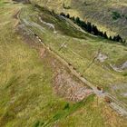 CHEVAUX vue du ciel