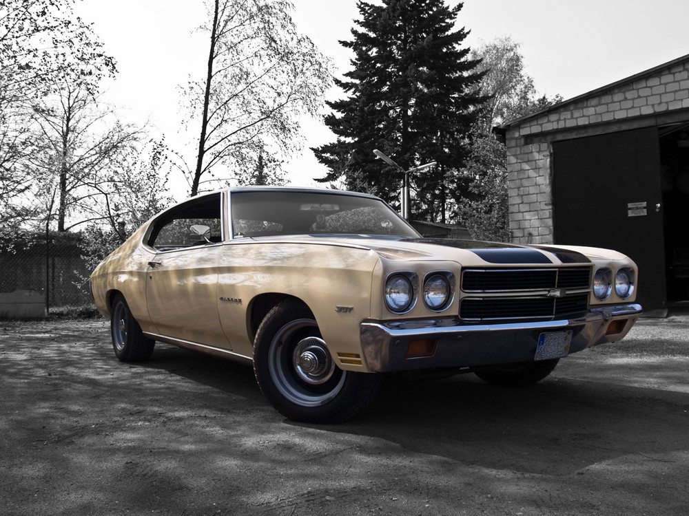 Chevelle CK