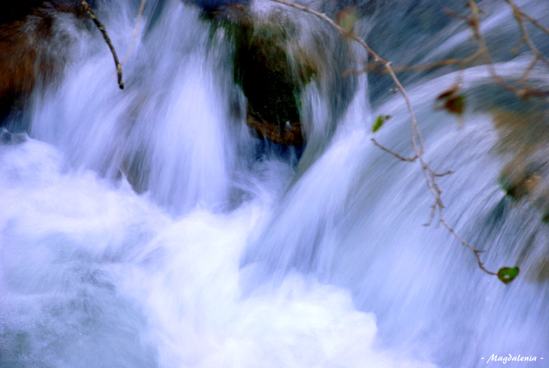 Chevelure d'eau