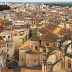 Chevets de la Cathédrale Sainte-Marie, du couvent et dépendances  --  Tortosa