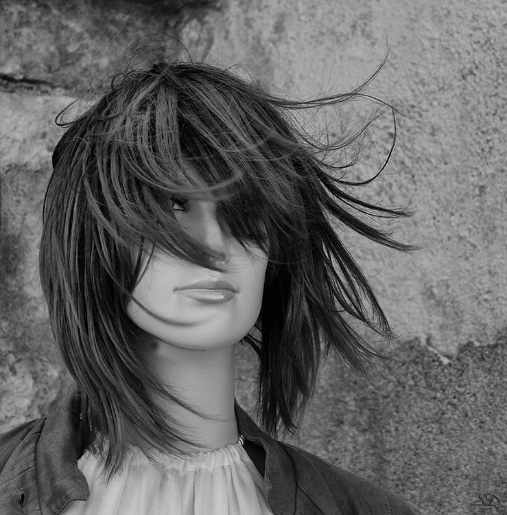 Cheveux au vent photo et image | scènes de vie, noir et blanc