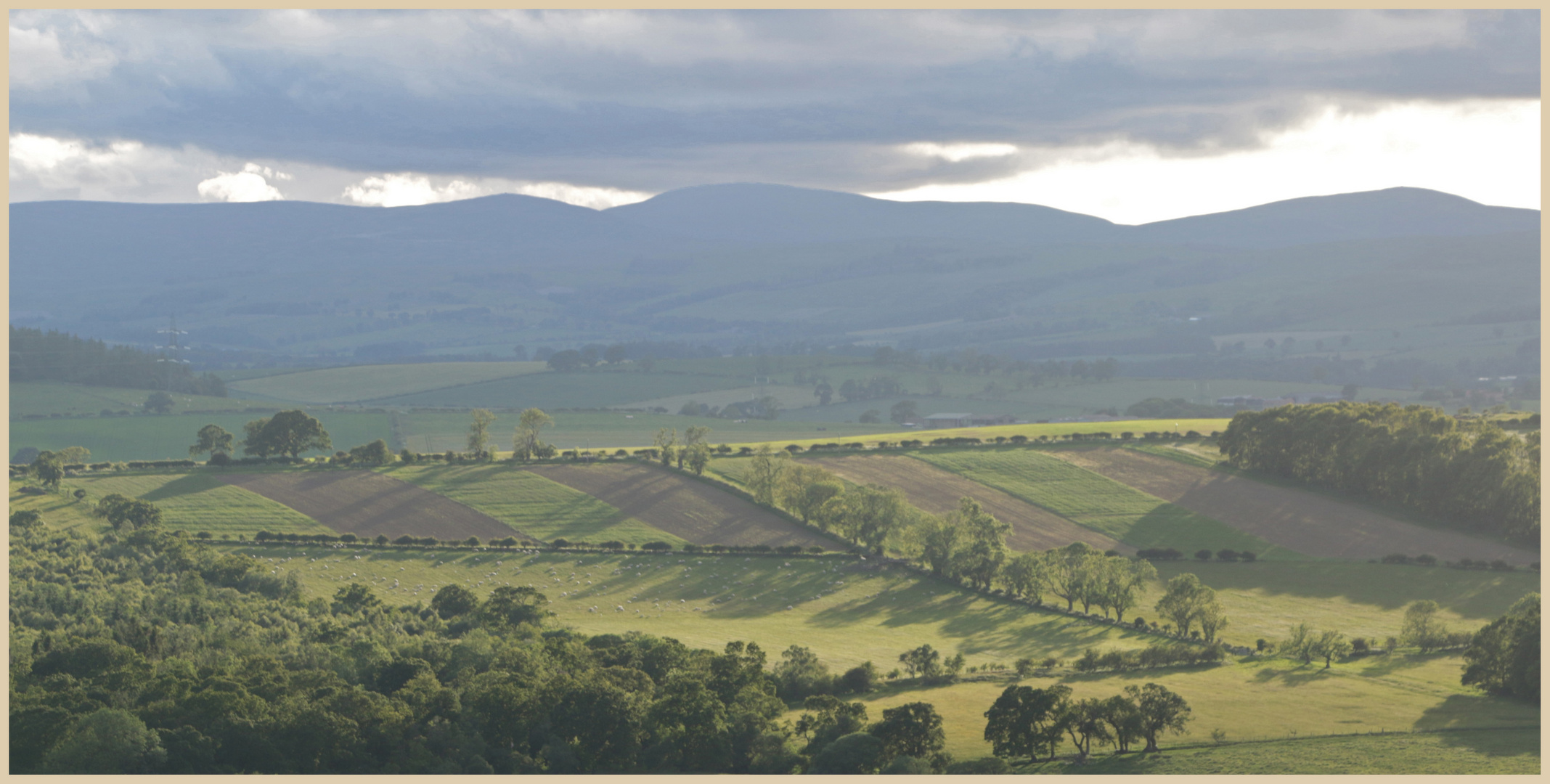 cheviot hills from corbys crags 5