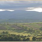 cheviot hills from corbys crags 5