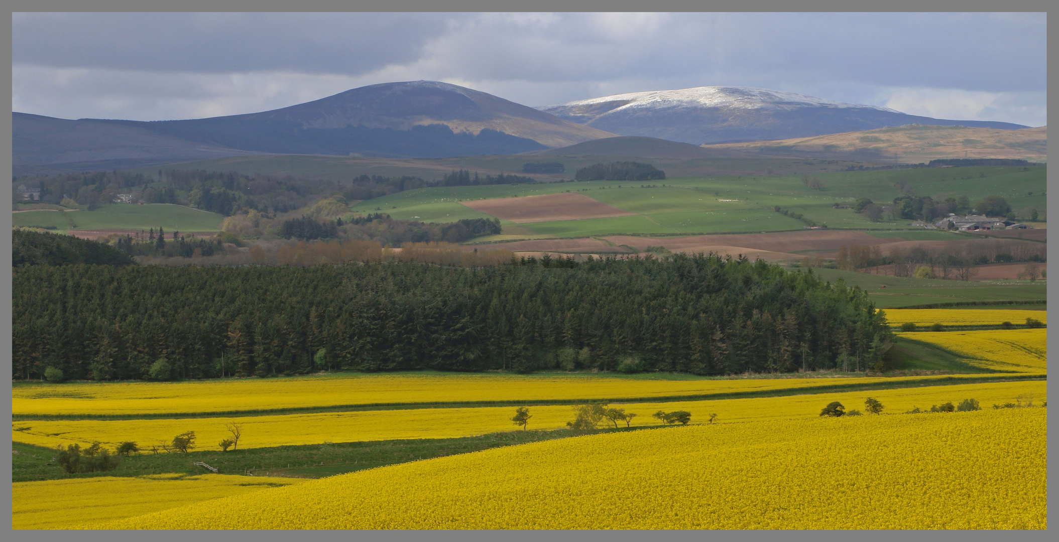 cheviot hills from old bewick