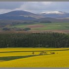 cheviot hills from old bewick