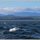 cheviot hills from the sea