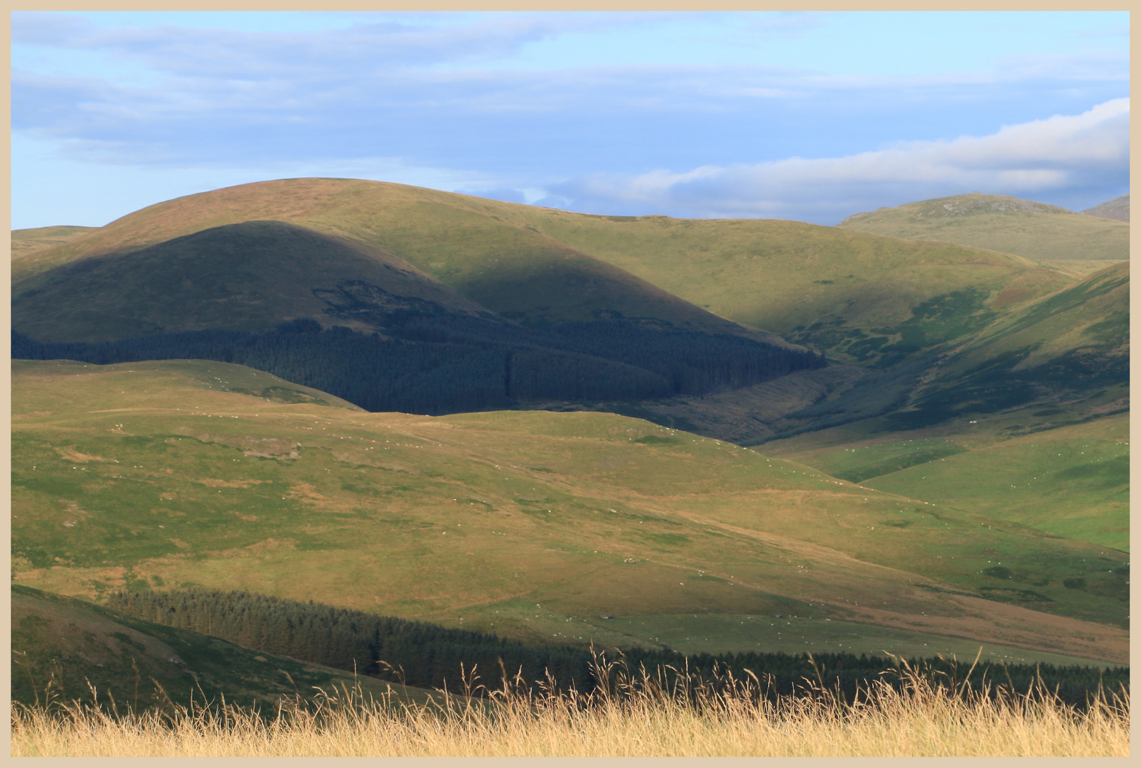 cheviot hills near cliftoncote