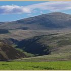 Cheviot Hills near Linhope 3