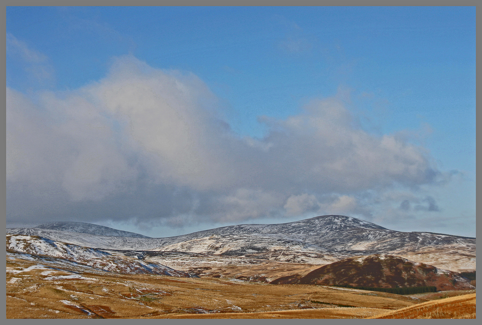 Cheviots near Linhope viwed from ewartly Shank