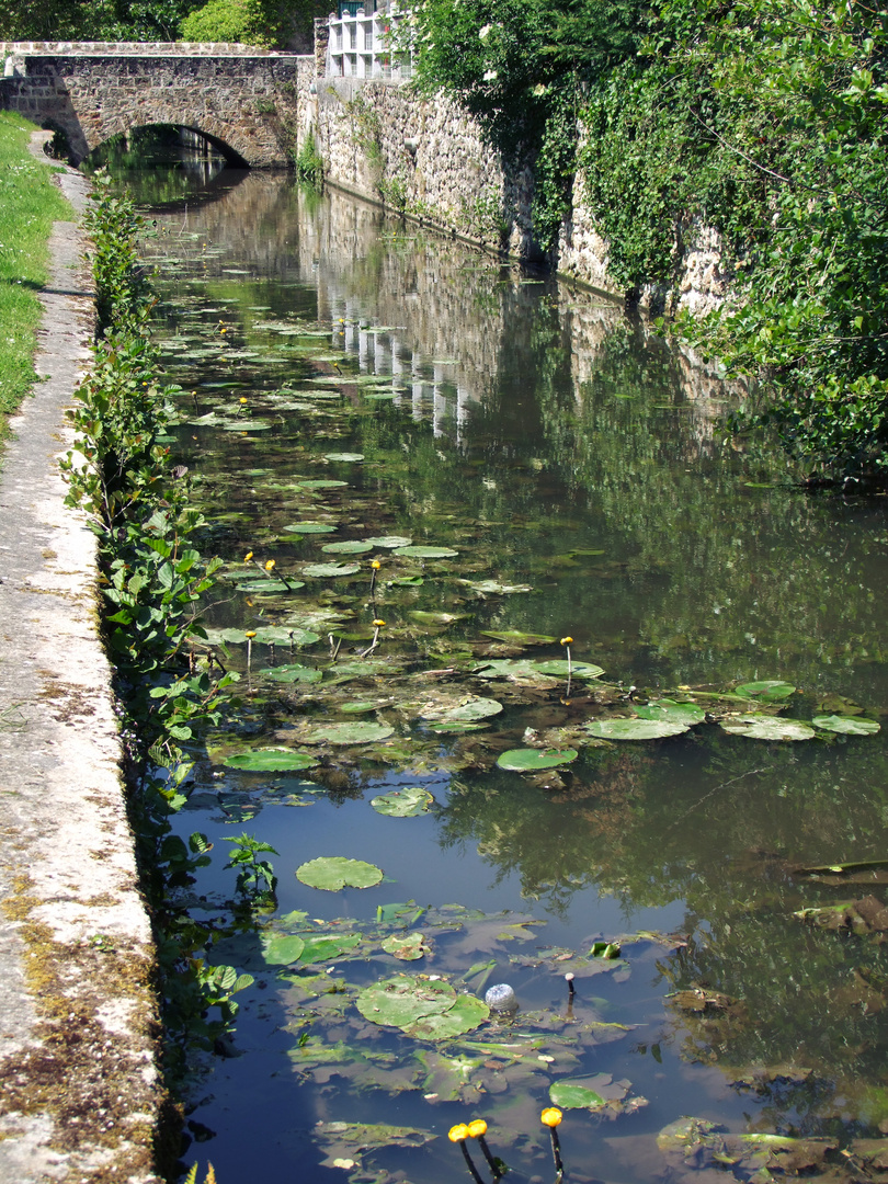 Chevreuse