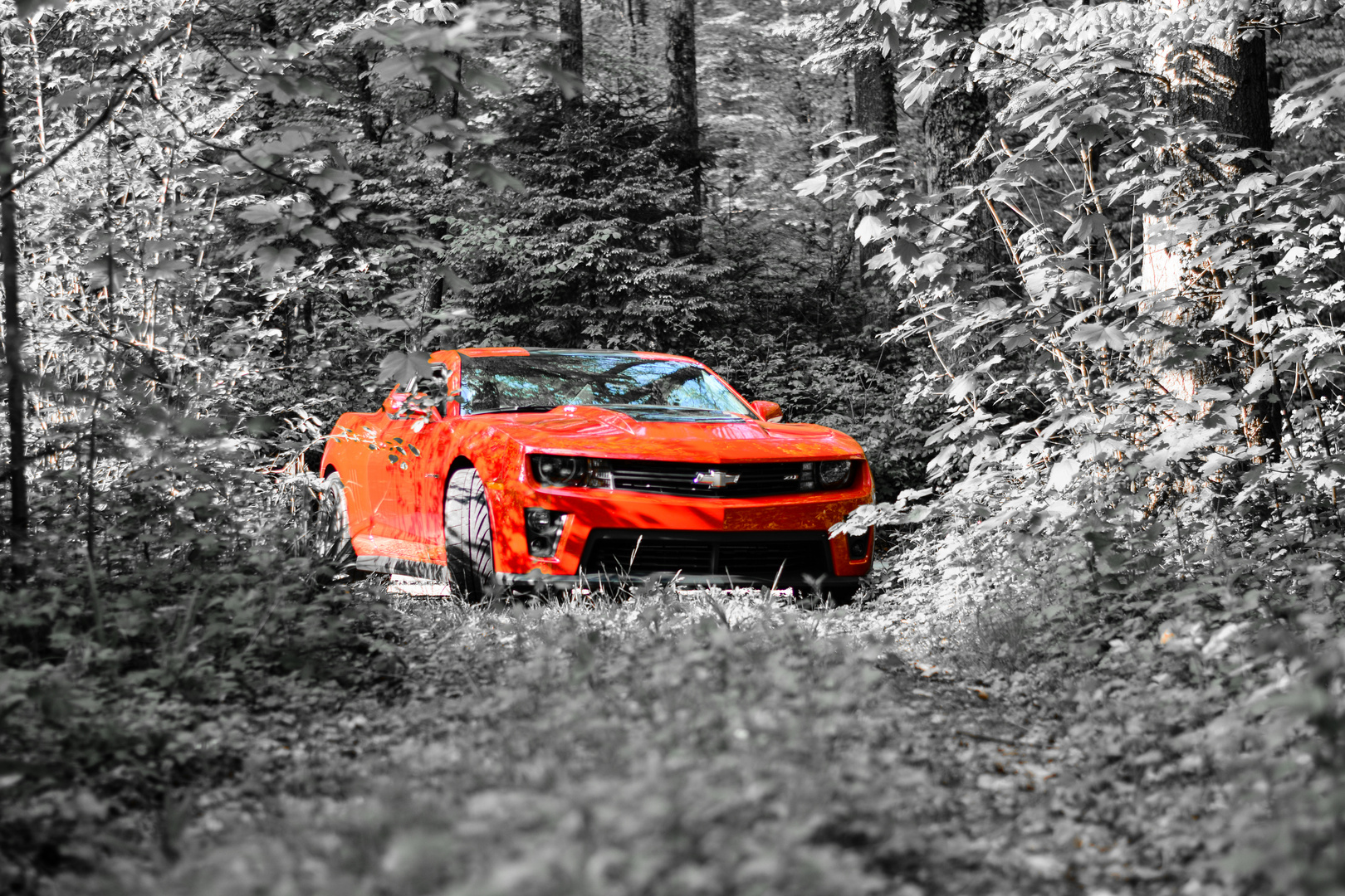 Chevrolet Camaro ZL1