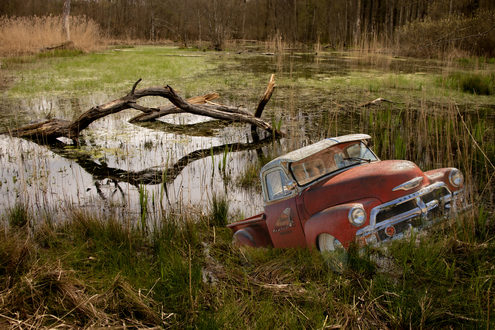 Chevrolet pick up dans le marais