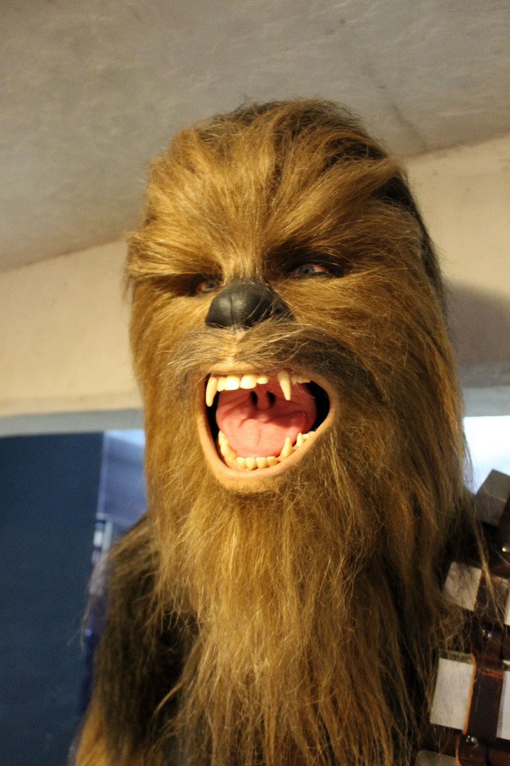 Chewbacca ganz nah sein